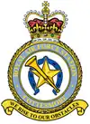 RAF Cottesmore badge