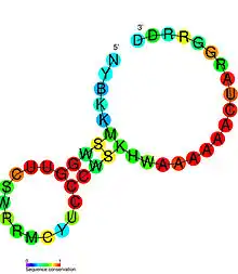 PreQ1 riboswitch:  Secondary structure for the riboswitch marked up by sequence conservation. Family RF00522.