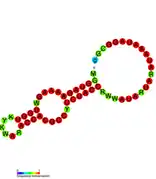 3'-terminal pseudoknot in PYVV:  Predicted secondary structure taken from the Rfam database. Family RF01078.