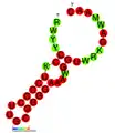 ;CRISPR-DR57:  Secondary structure taken from the Rfam database. Family RF01370.