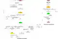 Diameter Authorization State Machines (Client)