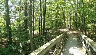 Boardwalk Trail