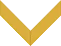 Chevron/ sleeve insignia