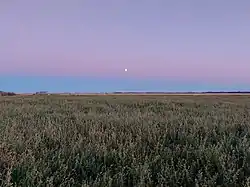 Moonrise over a field near Carlyle