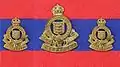 1st Pattern RNZAOC Badge 1947–1955