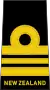 Lieutenant commander