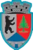 Coat of arms of Dărmănești