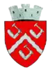 Coat of arms of Târgu Ocna