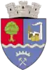 Coat of arms of Ștei