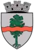 Coat of arms of Pucioasa