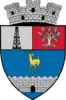 Coat of arms of Țicleni