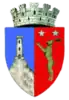 Coat of arms of Tecuci