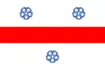 Flag of Miercurea Ciuc