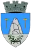Coat of arms of Slănic