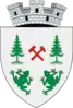 Coat of arms of Broșteni