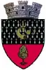 Coat of arms of Dolhasca