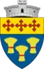 Coat of arms of Preutești