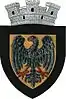 Coat of arms of Negrești