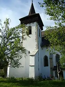 Reformed Calvinist church in Șintereag village