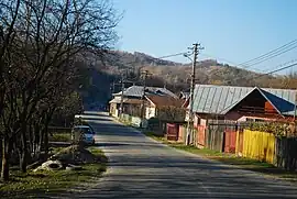 Road in Telega