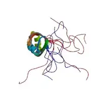 NMR structure of the second RRM domain of ASF/SF2 based on the PDB: 2O3D​ coordinates.