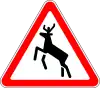 Wild animals crossing