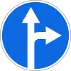 Go straight or right