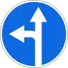 Straight ahead or left turn permitted