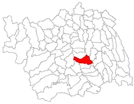 Location in Bacău County