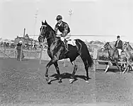 Winooka and jockey Stan Davidson Randwick Racecourse.