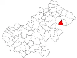 Location in Satu Mare County