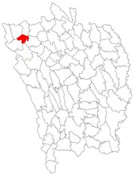 Location in Vaslui County