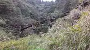 Remains of a wooden trestle bridge