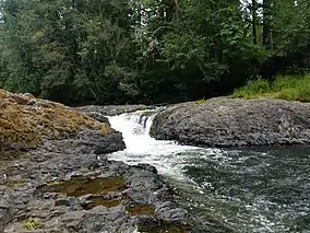 Small waterfall passing between boulders in front of some trees