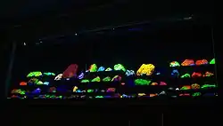 Rows of rock specimens in a variety of colors, glowing on a black background