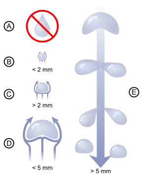 Diagram showing that very small rain drops are almost spherical in shape. As drops become larger, they become flattened on the bottom, like a hamburger bun. Very large rain drops are split into smaller ones by air resistance which makes them increasingly unstable.