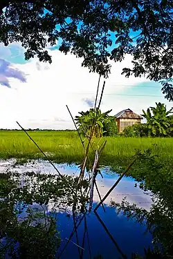 A village on Meghna River in Raipura