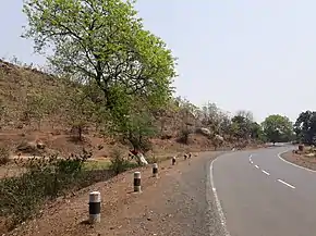 Rampurhat to Dumka road6.jpg