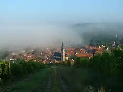 Randersacker on a foggy summer morning
