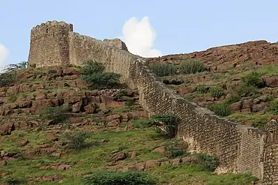 Ecologically restored desert vegetation with Euphorbia caducifolia and other native plants (right of wall), and unrestored area invaded by alien Prosopis julifora shrubs (on left of wall).