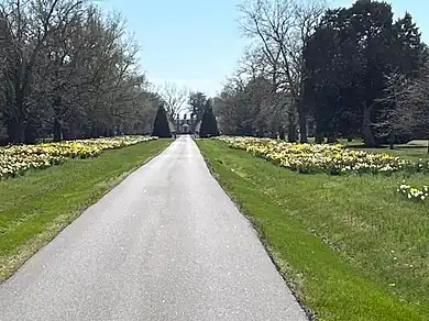 a long driveway leading to a distinguished brick house with flowers and trees on each side of the road