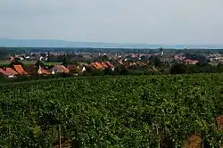 View of Ratíškovice and nearby vineyards