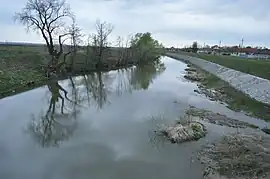 Bega River in Bethausen