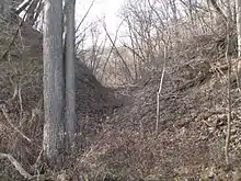 Moderately steep-sided ravine with lots of small trees growing in and around it
