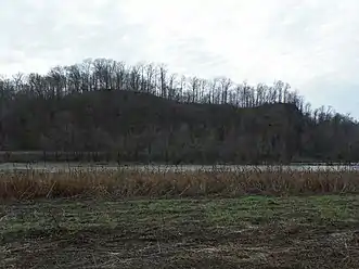 Field and bluffs