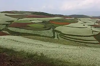 Red earth at Hongtudi