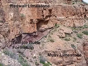 Annotated photo of different colored rock units on a cliff.