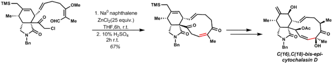 E. Vedejs total synthesis of C(16),C(18)-bis-epi-cytochalasin D uses a late stage Reformatsky reaction to access the natural product