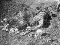 Remains of seven civilians shot in Vranje