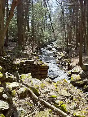 Forested brook